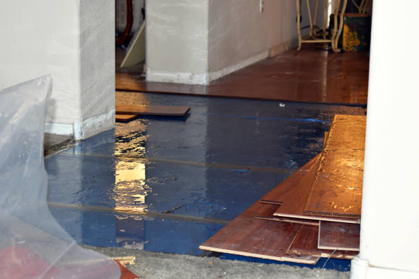 Professional Sewage Cleanup technician working in Lake, MI